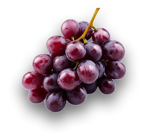 Uvas-18k-Wine-1 - Copia (2)