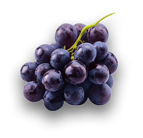 Uvas-18k-Wine-2 - Copia (3)