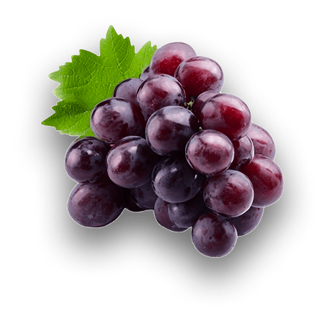 Uvas 18k Wine (3)