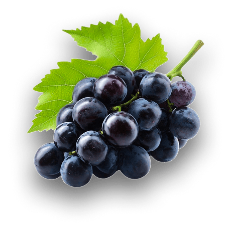 Uvas-18k-Wine-4 - Copia